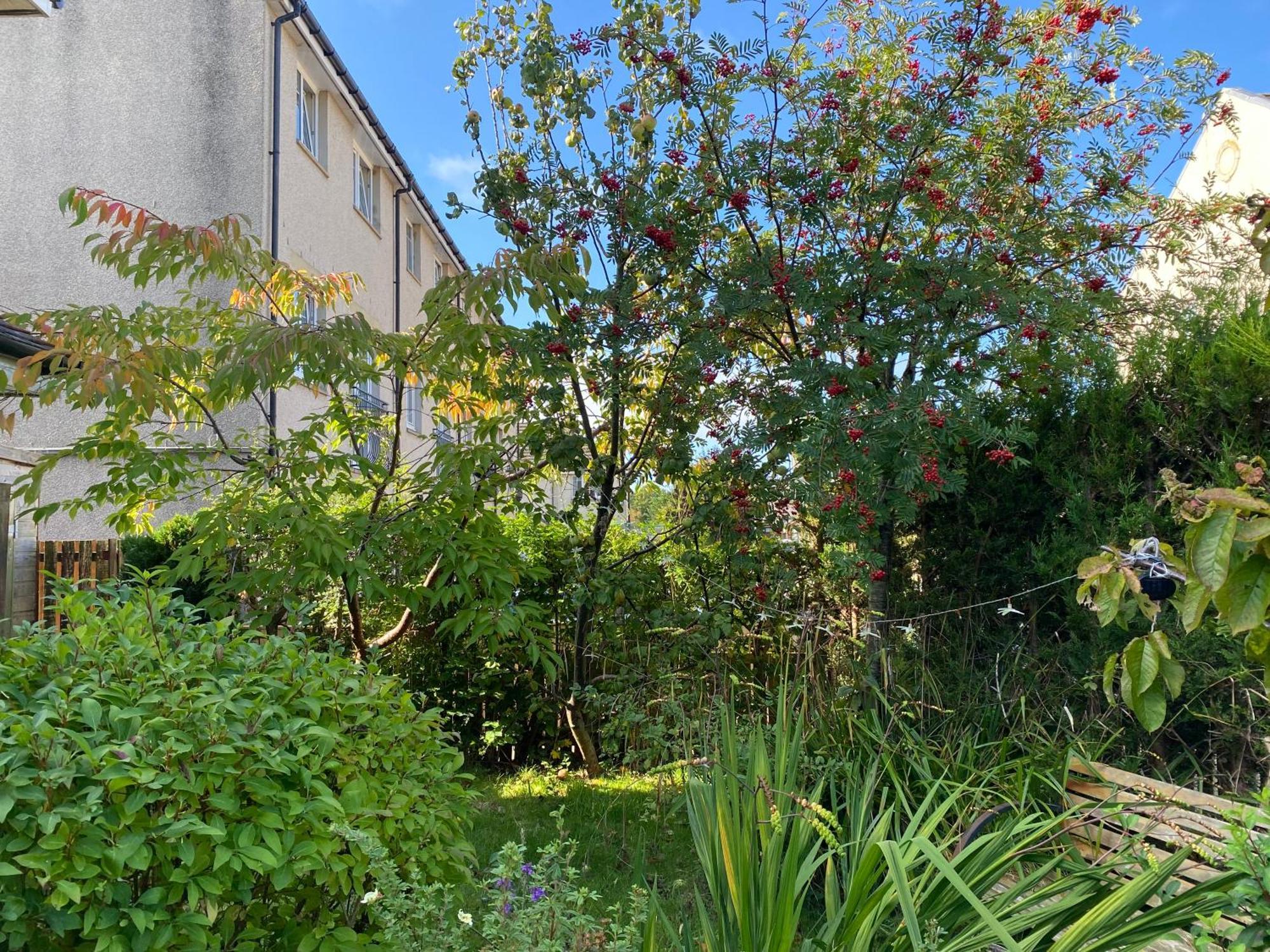 Bed and Breakfast Caledonia House Rosyth Zewnętrze zdjęcie